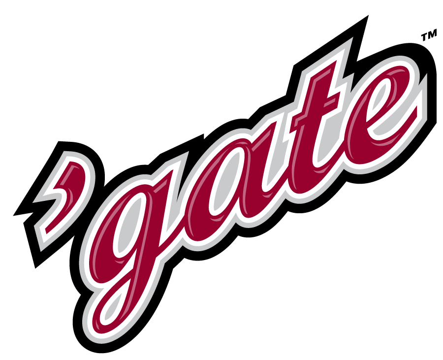 Colgate Raiders 2006-2020 Wordmark Logo diy iron on heat transfer